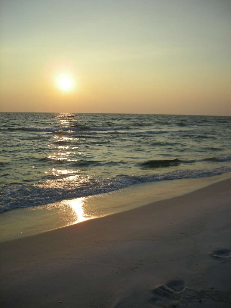 Hampton Inn By Hilton Panama City Beach Upper Grand Lagoon Natur bild